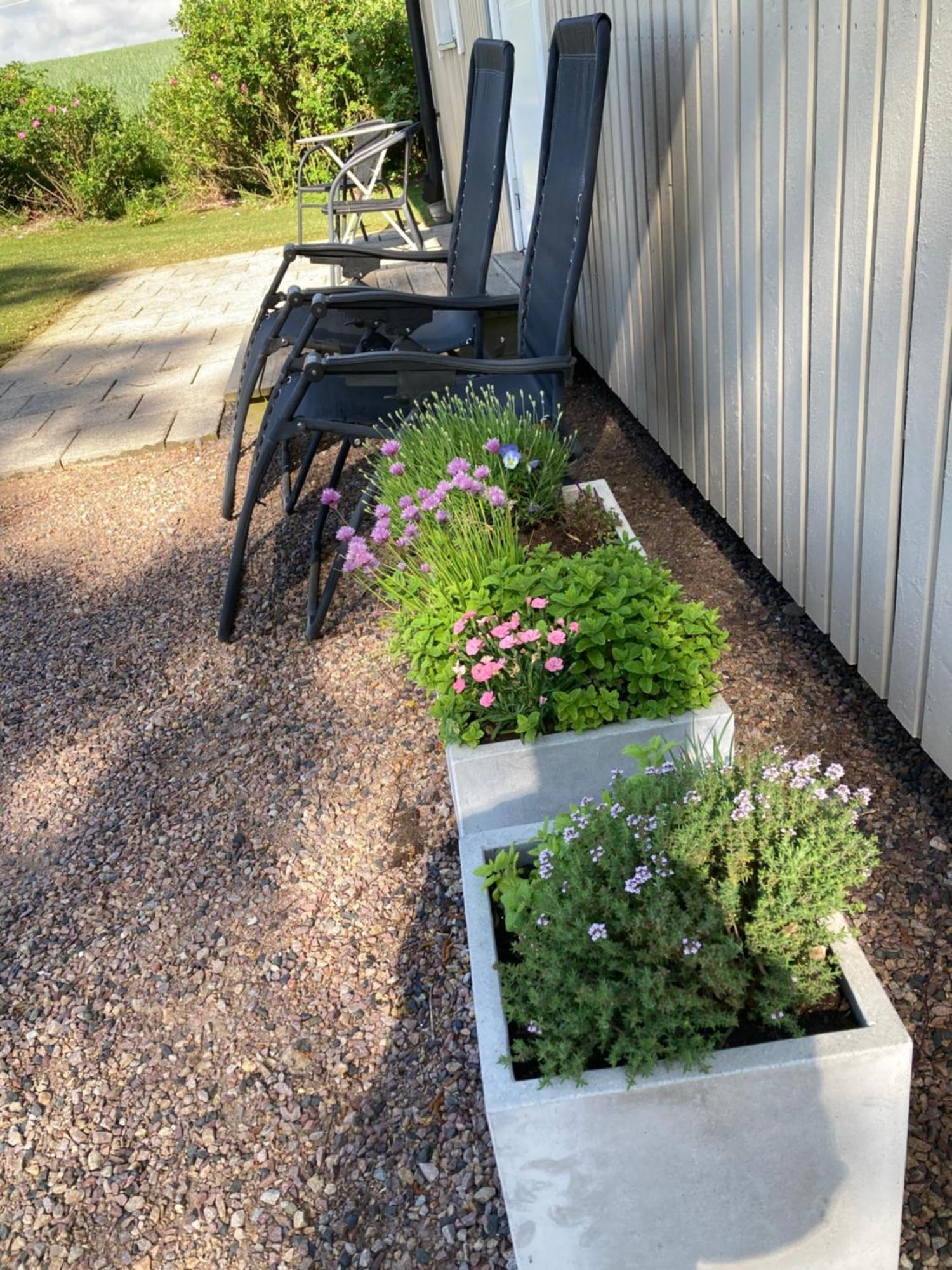 Вілла Slimmingegarden 1019 Skurup Екстер'єр фото